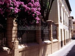 Mula Antigua serie-2